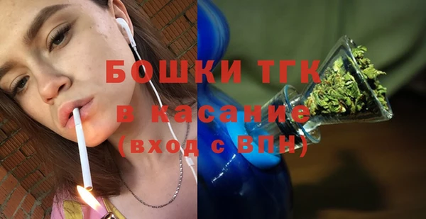 индика Осташков
