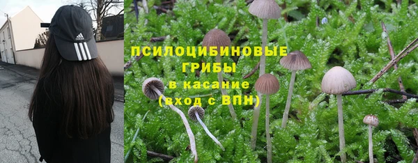 МДМА Абаза