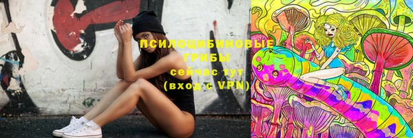 индика Осташков